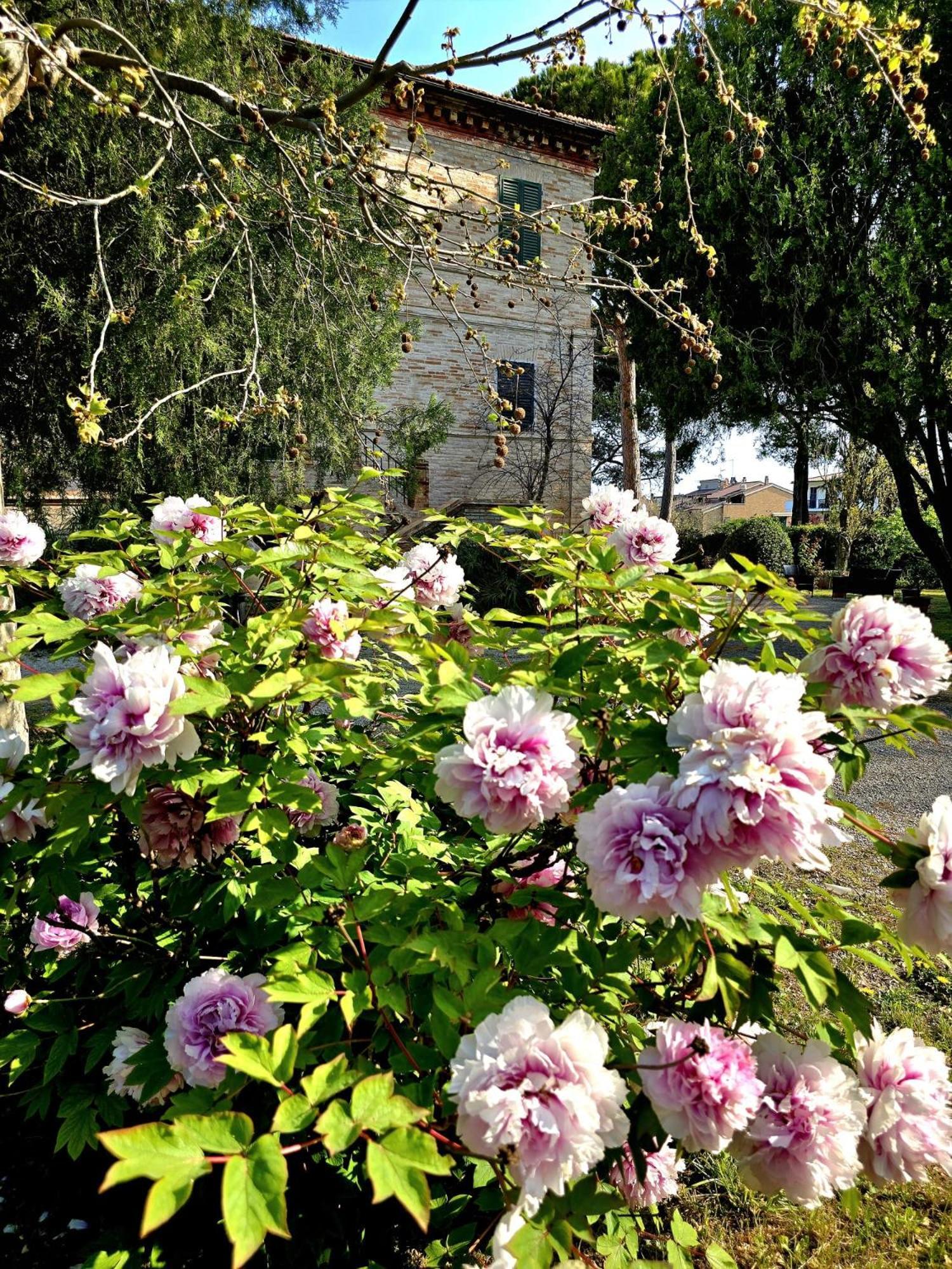 Augusta Apartment Porto SantʼElpidio
